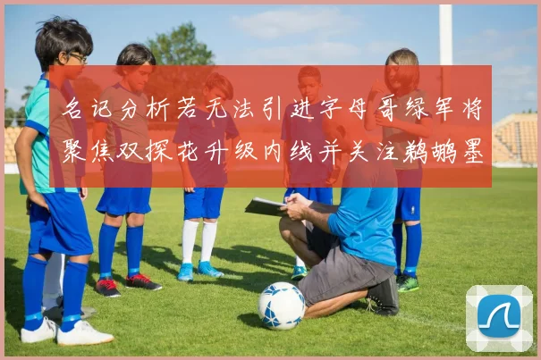 名记分析若无法引进字母哥绿军将聚焦双探花升级内线并关注鹈鹕墨菲